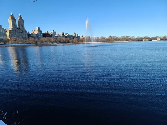 Rented by Bond New York | media 12