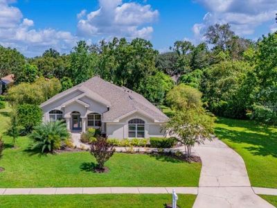 6022 Kestrel Point Ave, Lithia, FL, 33547