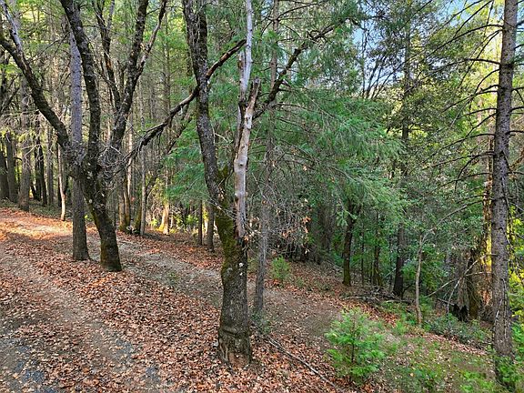 15th image of 17631 Greenhorn Rd