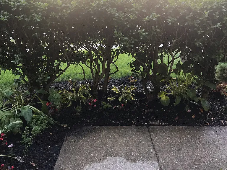 Governor Sprigg Pl — Photo 26