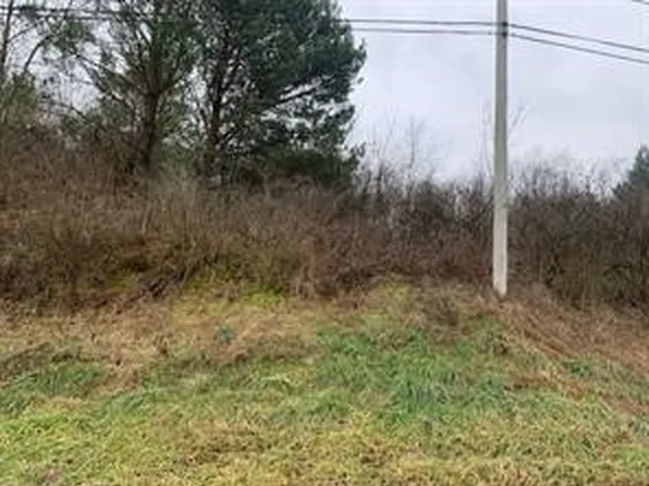LOT 7 Ringertown Rd, Export, PA 15632
