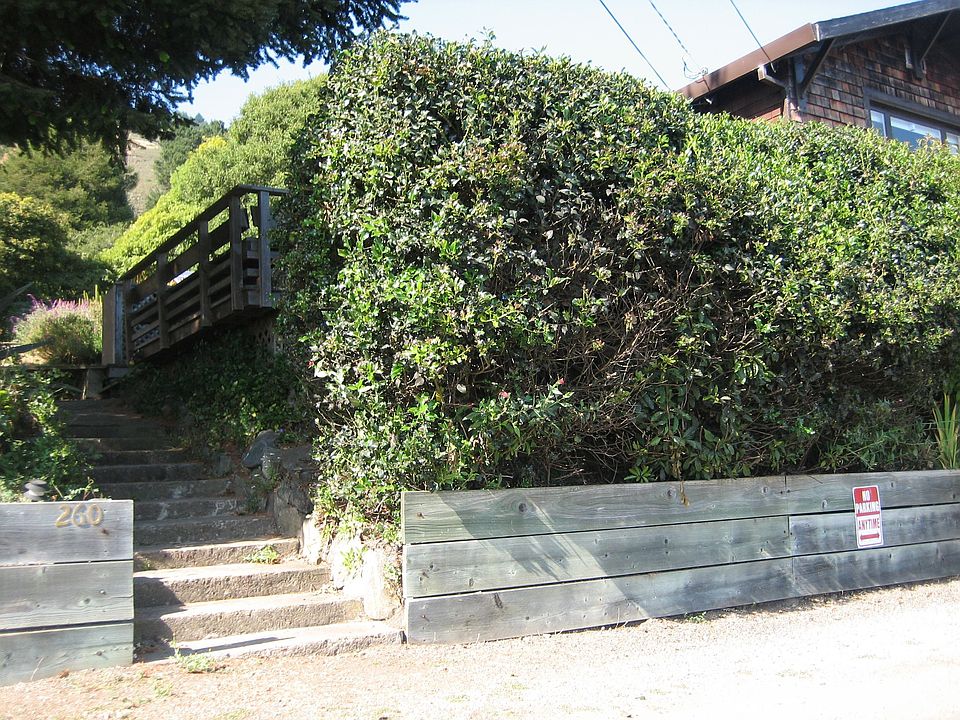 1st image of 260 Belvedere Ave