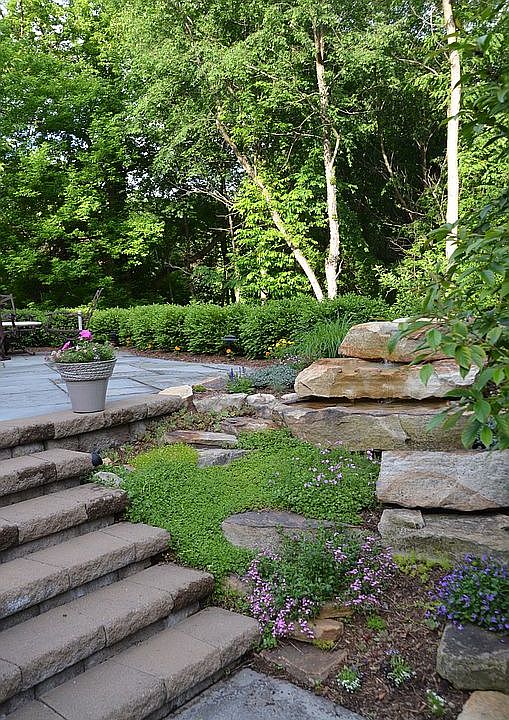 Rear Hardscape & Patios