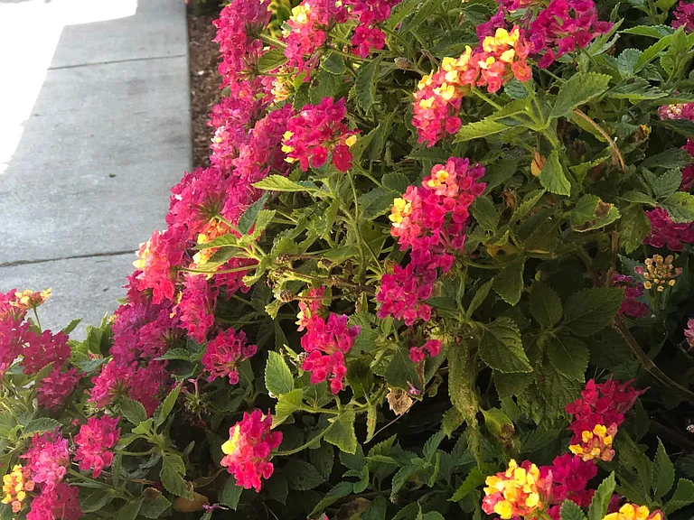 and more color