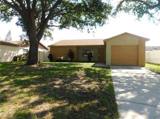 905 Old Field Dr, Brandon, FL 33511