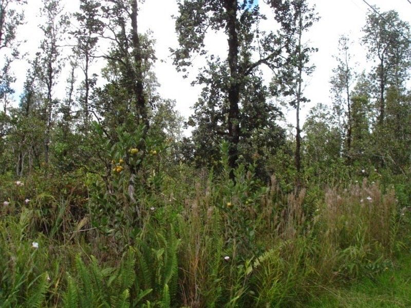 2nd image of 16-1318 Io Kea Rd Lot 3388