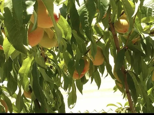 864 Overhill Dr, Hayward, CA 94544