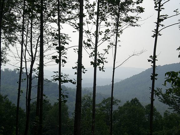 view to the west