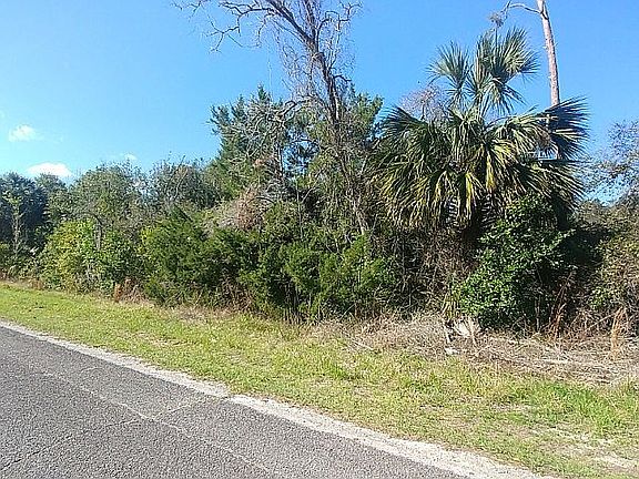 4th image of 790 Palmetto Ave