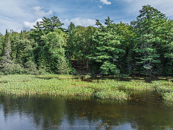 5th image of 1241 Koshlong Lake Rd