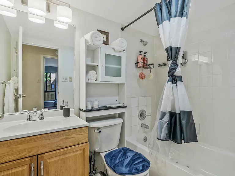Updated Bathroom
