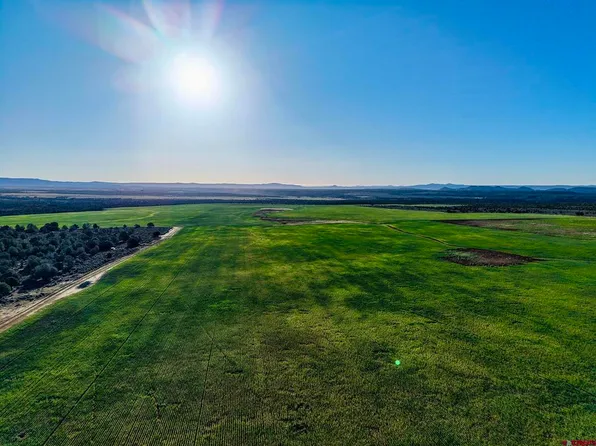 TBDWP County Road 106, Hesperus, CO 81326
