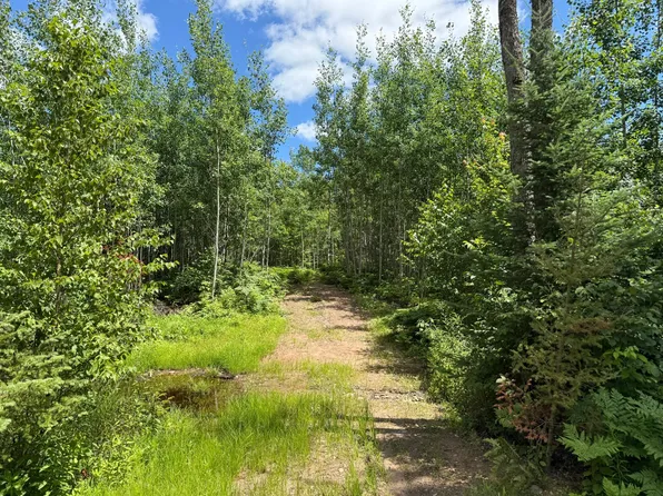 Lakewood Rd, Tomahawk, WI 54487