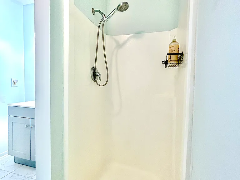Guest Shower