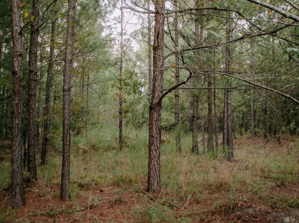 Lot 1-Tbd Nighthawk Loop, Aberdeen, NC 28315