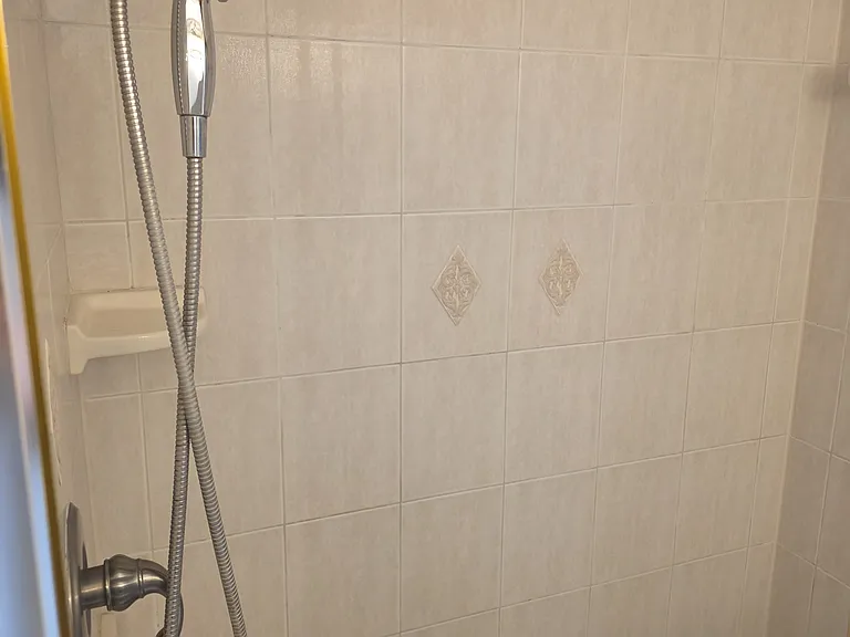 master bathroom shower
