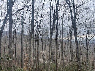 2nd image of 0 Murphy Rd