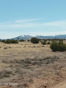 N 8036th #107-65-006, Concho, AZ, 85924