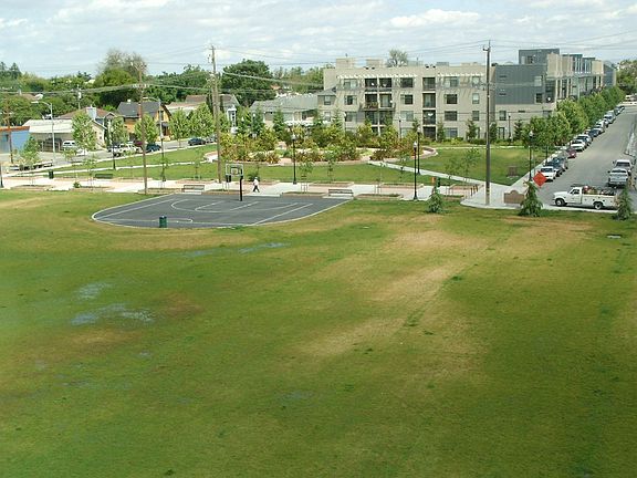View from front windows