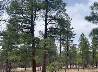 4333 Horseshoe Dr, Happy Jack, AZ 86024