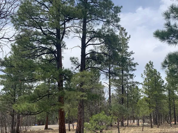 4333 Horseshoe Dr, Happy Jack, AZ 86024