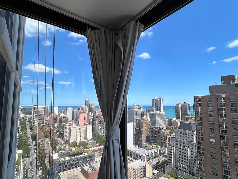 1122 N Clark St #3307 — Photo 9