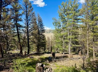 223 Middle Fork Vis, Fairplay, CO 80440