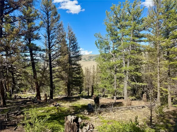 223 Middle Fork Vis, Fairplay, CO 80440