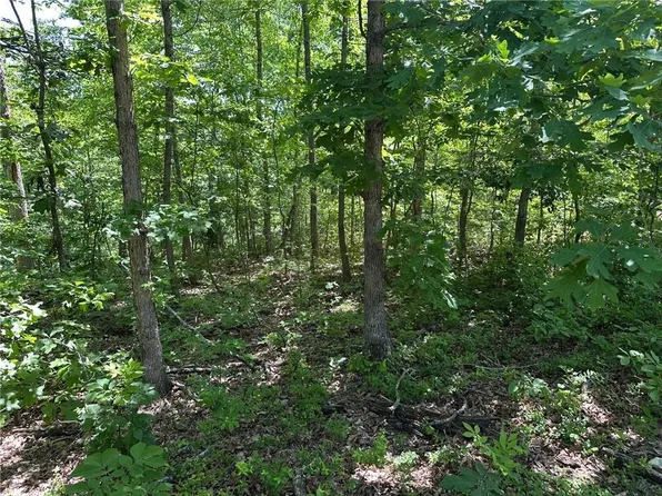 Bonnyrigg Ln #24, Bella Vista, AR 72715
