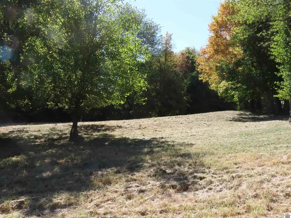0 Pacific Avenue 3 4 #1-2, Wingo, KY 42088