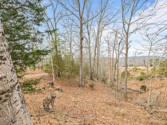 5th image of Deer Pond Cir