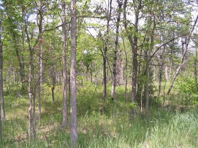 W Federal Hwy, Roscommon, MI, 48653