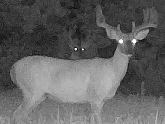 3rd image of 21087 N 25th Rd