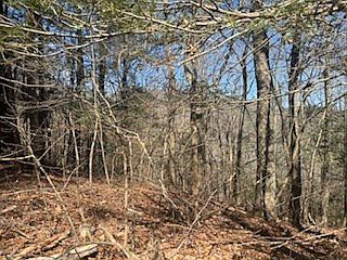 5th image of 14 Butler Creek Rd