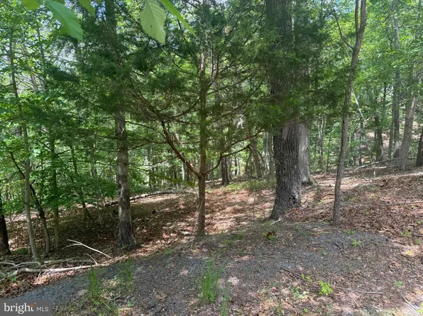 0 Stoney Bottom Rd, Front Royal, VA 22630