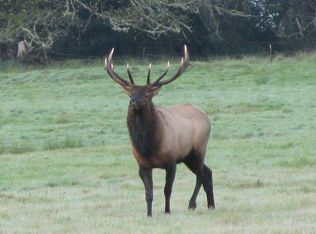 1207 S Shore Rd, Quinault, WA 98575