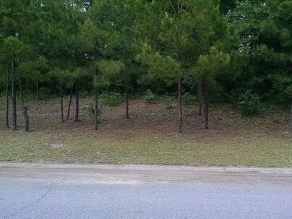 2nd image of 124 Golden Oak Dr