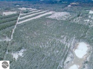 Vl East Rd #28-1/4, Cadillac, MI 49601