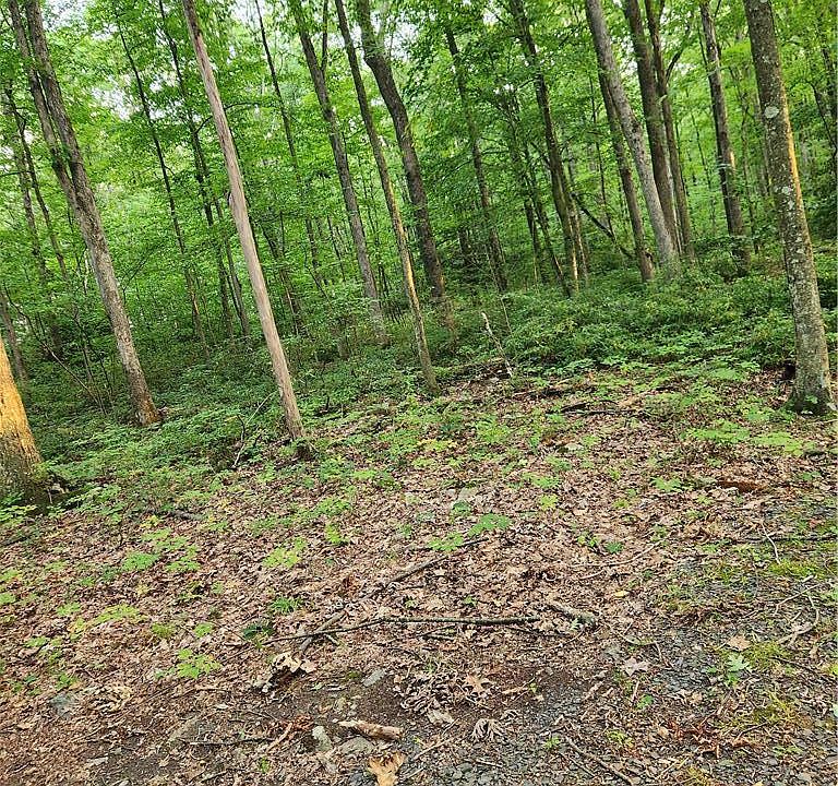 2nd image of 1525 Lake Minsi Dr