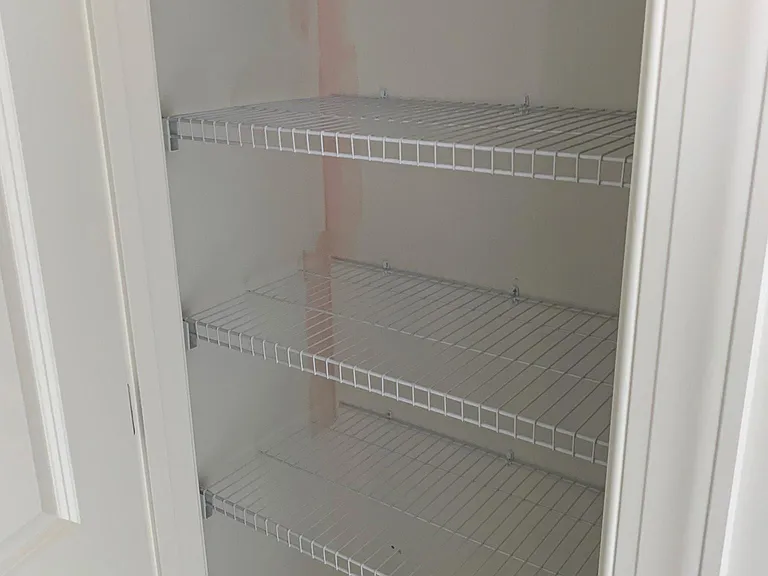 Master Linen Closet