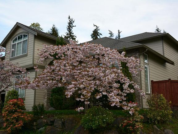 2nd image of 246 247th Pl NE