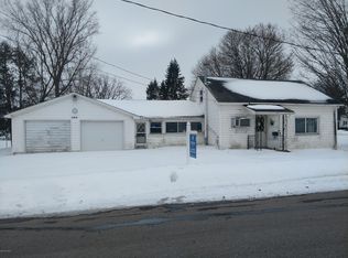 606 1st St, Lake Odessa, MI
