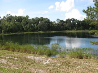 Malauka Loop LOT 13, Ocklawaha, FL 32179