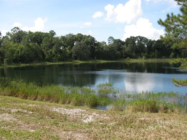 Malauka Loop Lot 13, Ocklawaha, FL 32179