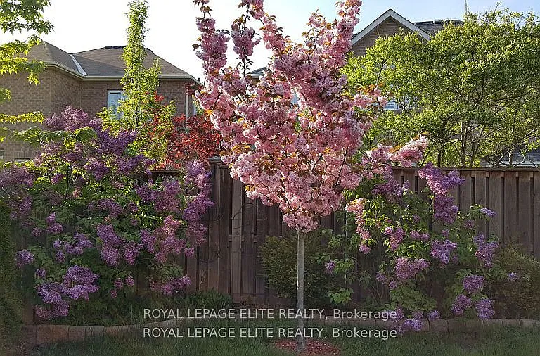 2437 Hilda Dr — Photo 35
