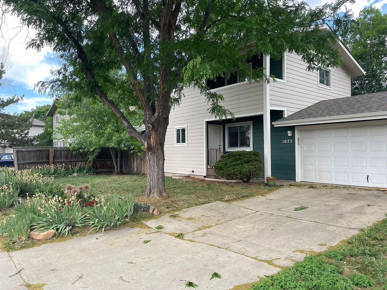 3 bed, 1600 sqft, $3,000 — Photo 1