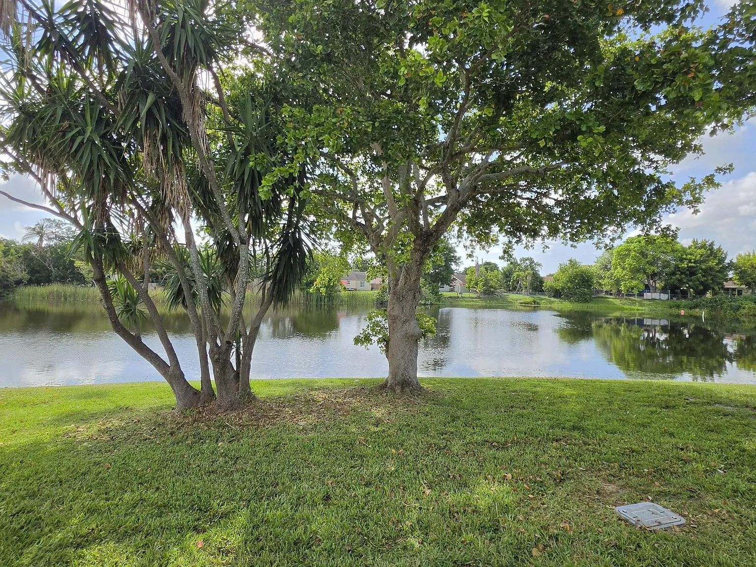 3 bed, 2.0 bath, 871 sqft, $2,000 — Photo 4