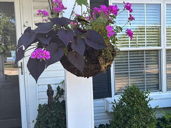 3rd image of (Undisclosed Address)