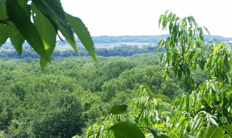 2nd image of 364 N Pilot Knob Rd
