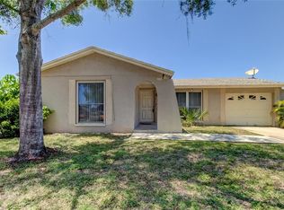 10207 Vista Cove Ct, Tampa, FL 33615